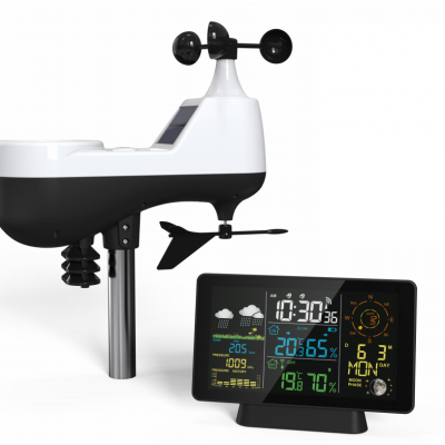 YJ5065-4 Weather Station with Wind and Rain Gauge